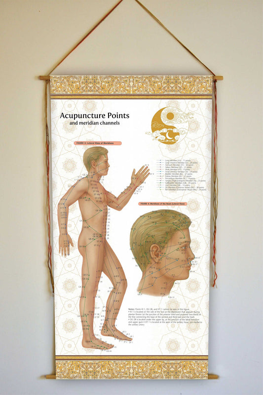 Acupuncture Poster, Acupuncture Chart, Acupuncture Art, Acupuncture Gift, Chinese Medicine Poster, Wall Art,  Set of two wall hangings